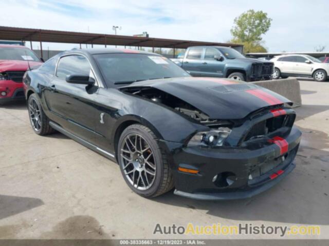 FORD SHELBY GT500, 1ZVBP8JS8C5202382