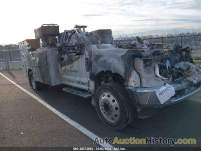 FORD F-550 CHASSIS XL, 1FDUF5GN9LDA03552