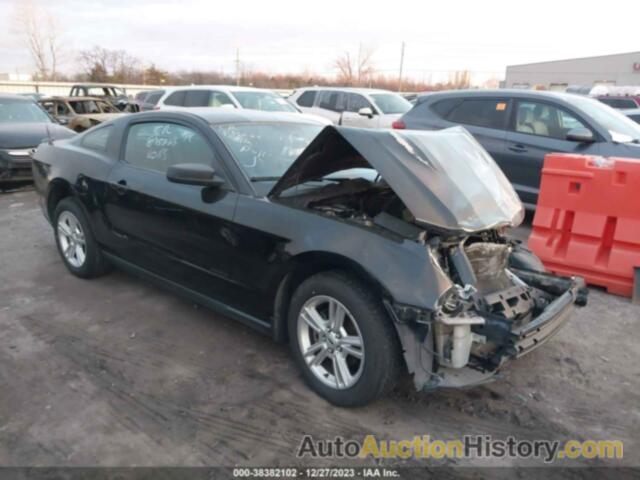 FORD MUSTANG V6, 1ZVBP8AN0A5148857