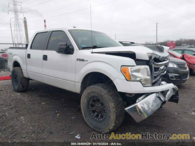 FORD F150 SUPERCREW, 1FTFW1EF3DFC89776