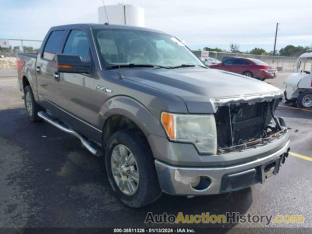 FORD F150 SUPERCREW, 1FTEW1C81AFC07393
