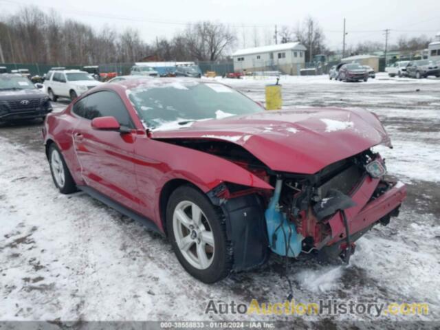FORD MUSTANG V6, 1FA6P8AM0G5201504