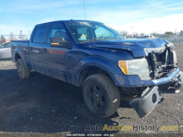 FORD F150 SUPERCREW, 1FTFW1E88AFD51590