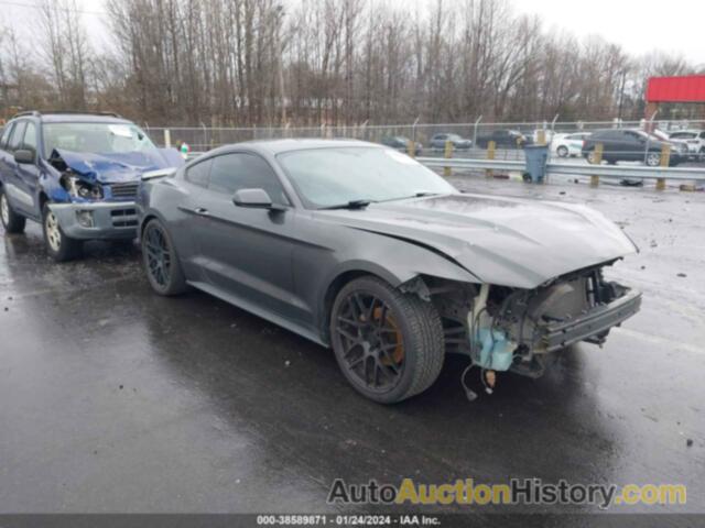 FORD MUSTANG V6, 1FA6P8AM3H5202602