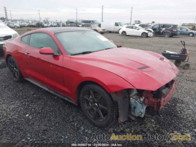 FORD MUSTANG ECOBOOST FASTBACK, 1FA6P8TH3L5109040