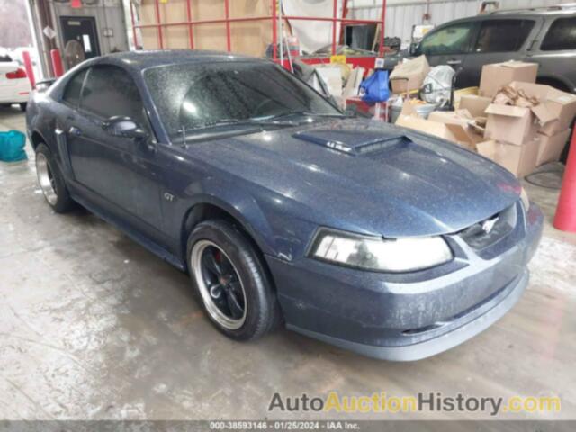 FORD MUSTANG GT DELUXE/GT PREMIUM, 1FAFP42X22F162063