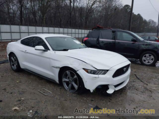 FORD MUSTANG V6, 1FA6P8AM4G5292616