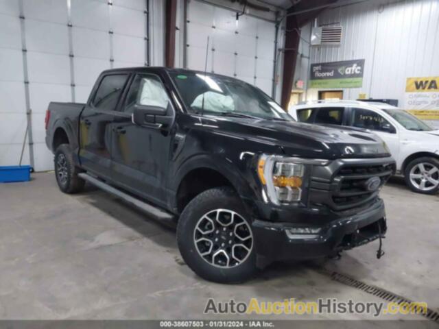 FORD F-150 XLT, 1FTEW1EP9PFB66752