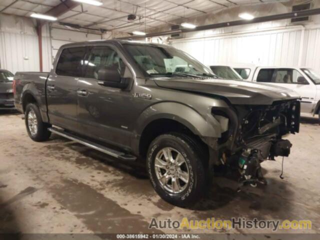 FORD F-150 XLT, 1FTEW1EP6GKE73478