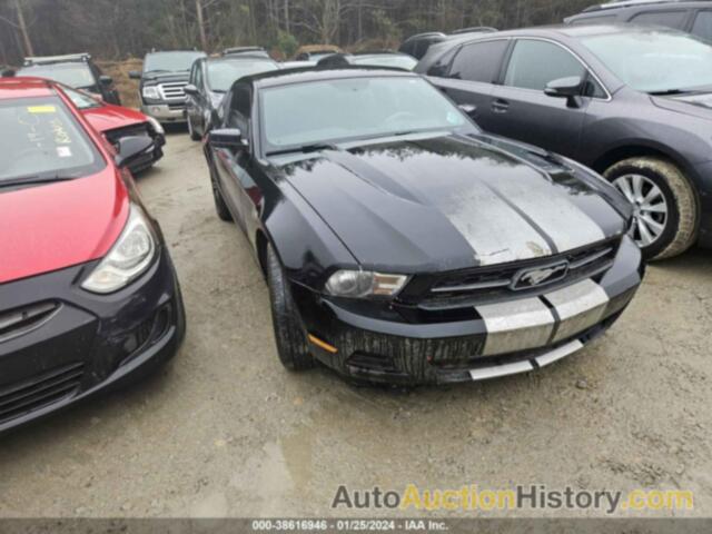 FORD MUSTANG, 1ZVBP8AM3C5281316