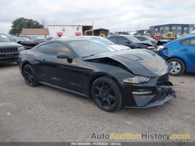FORD MUSTANG ECOBOOST, 1FA6P8TH2K5167008