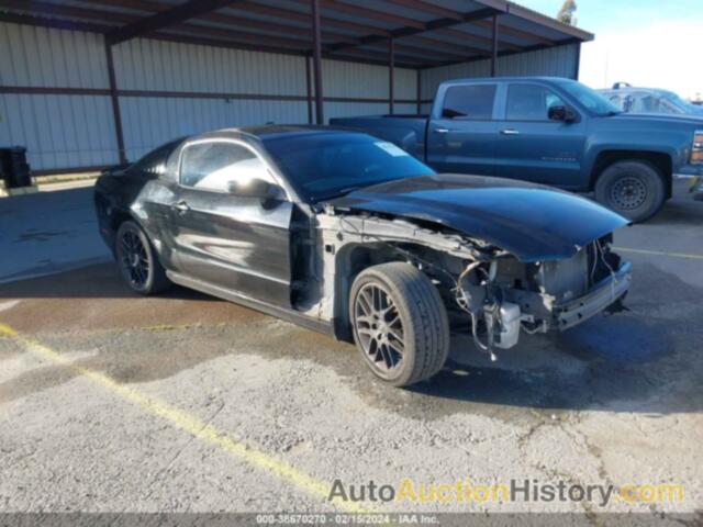 FORD MUSTANG, 1ZVBP8AM3E5254264