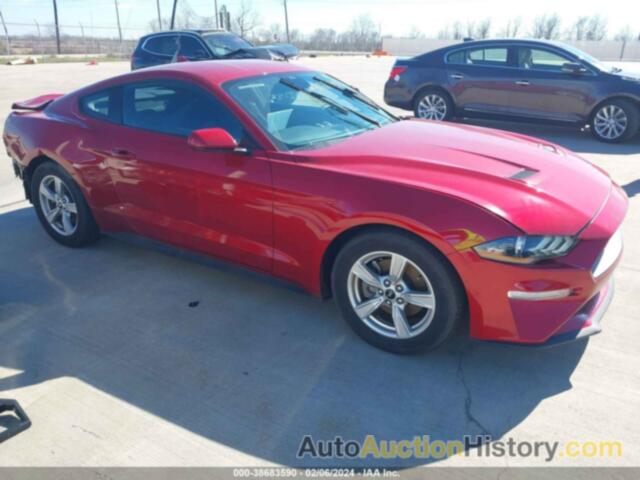 FORD MUSTANG ECOBOOST FASTBACK, 1FA6P8TH2N5147782