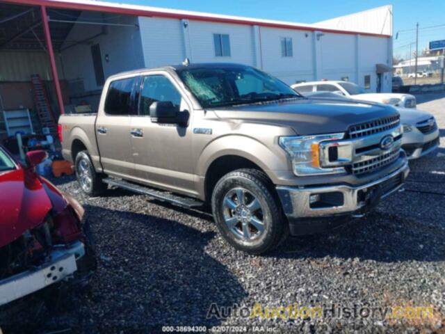 FORD F150 SUPERCREW, 1FTEW1E52JFE07511