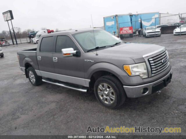FORD F150 SUPERCREW, 1FTEW1C85AFD32056