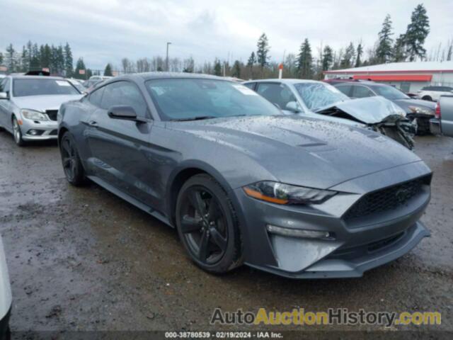 FORD MUSTANG, 1FA6P8TH5M5150528