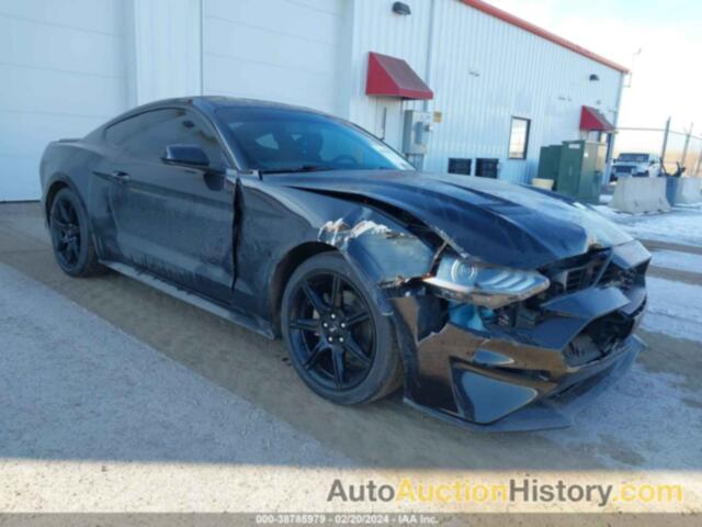 FORD MUSTANG ECOBOOST, 1FA6P8TH0K5142723