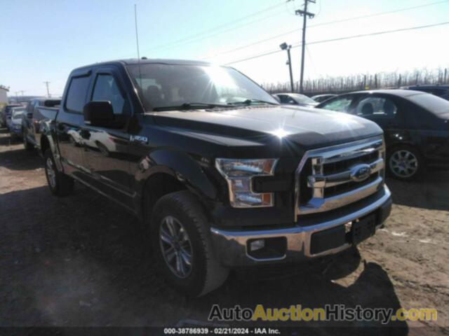 FORD F150 SUPERCREW, 1FTEW1EF6FFB51163
