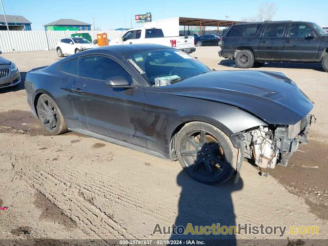 FORD MUSTANG ECOBOOST, 1FA6P8TH6J5162795