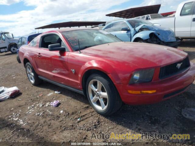 FORD MUSTANG, 1ZVHT80N395135006