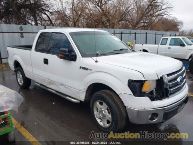 FORD F-150 XLT, 1FTEX1CM7BFD14220