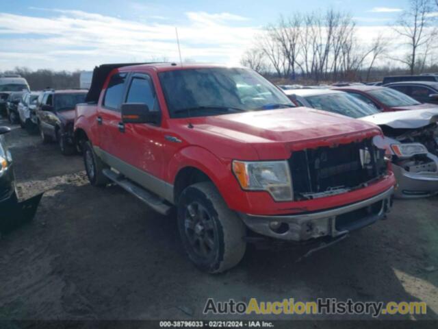 FORD F150 SUPERCREW, 1FTFW1EF2DFC99831