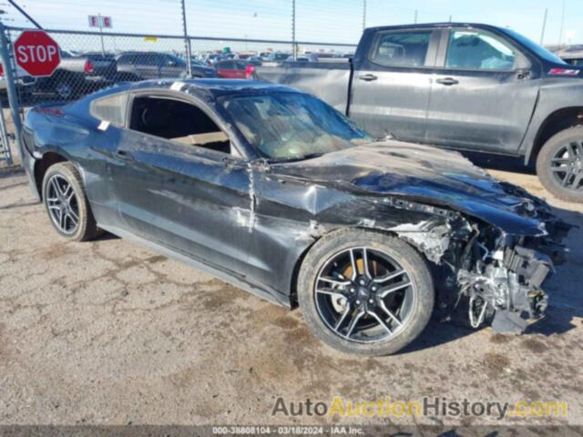 FORD MUSTANG, 1FA6P8TH3M5134490
