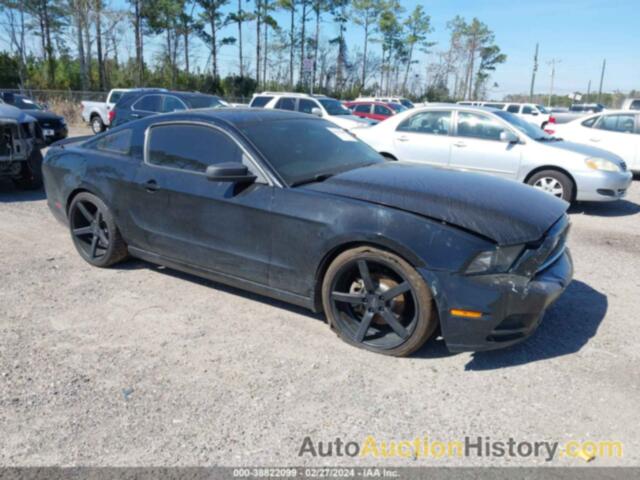 FORD MUSTANG, 1ZVBP8AM7D5250636