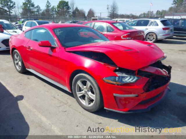 FORD MUSTANG ECOBOOST FASTBACK, 1FA6P8TH0L5185203