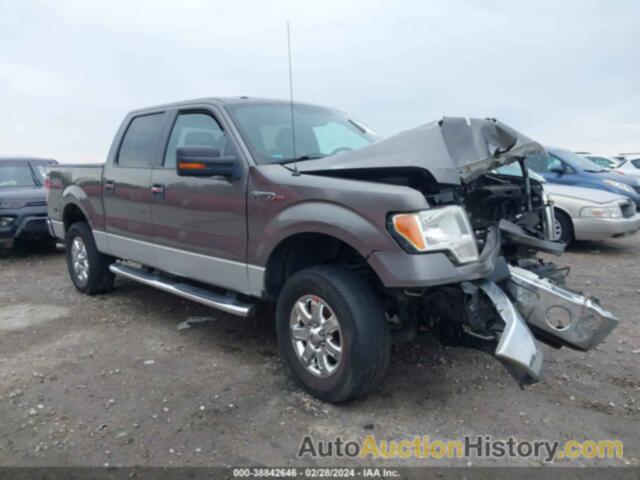 FORD F150 SUPERCREW, 1FTFW1EFXDFC38940