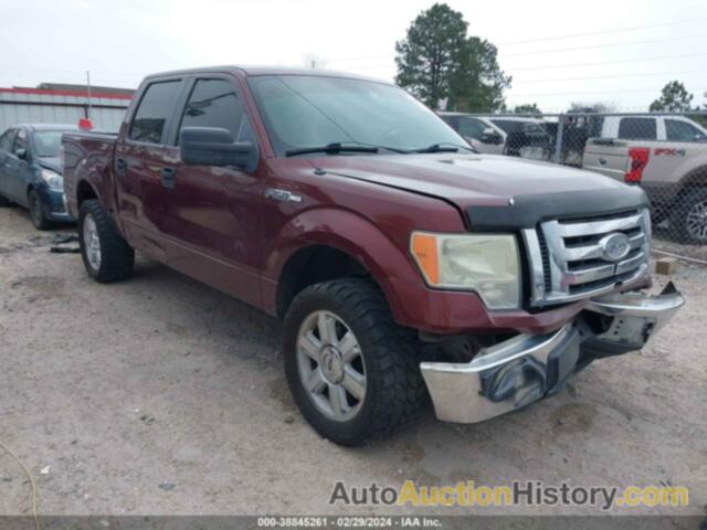 FORD F150 SUPERCREW, 1FTEW1C8XAFB49137