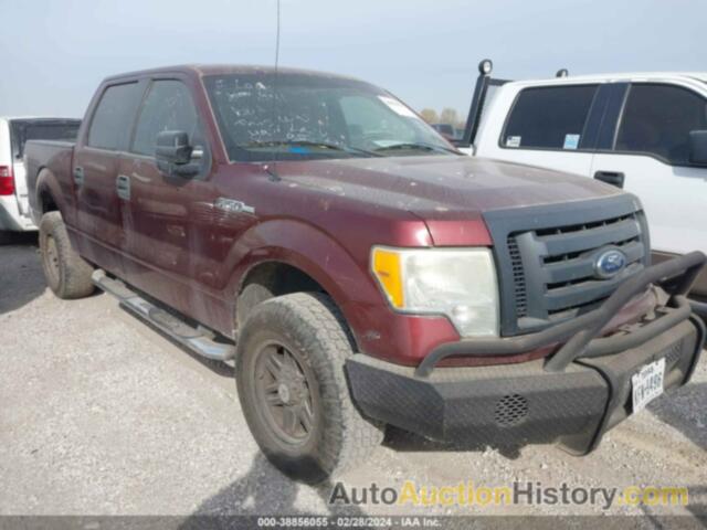 FORD F150 SUPERCREW, 1FTEW1C88AFD90940