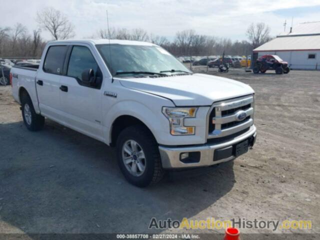 FORD F-150 XLT, 1FTEW1EP8HKD46989