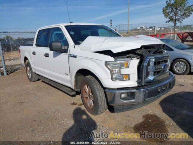 FORD F-150 XLT, 1FTEW1CG1HKC92437
