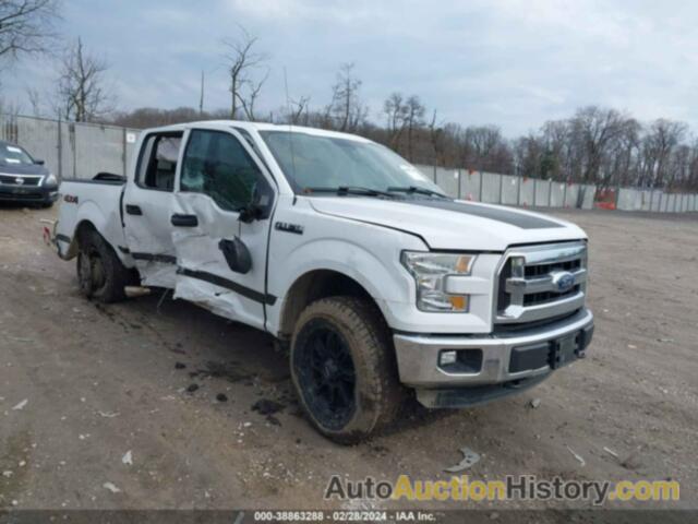 FORD F-150 XLT, 1FTEW1EF1GFC59241