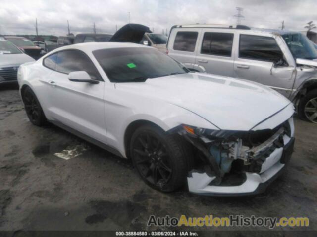 FORD MUSTANG, 1FA6P8TH8F5316480