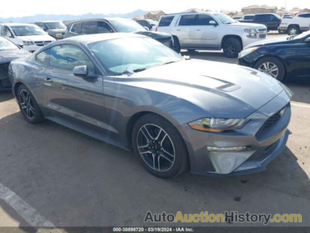 FORD MUSTANG ECOBOOST FASTBACK, 1FA6P8TH9M5152914