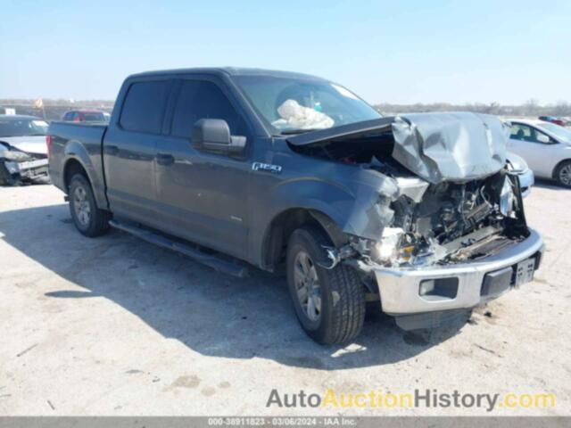 FORD F150 SUPERCREW, 1FTEW1CP8FFA02569