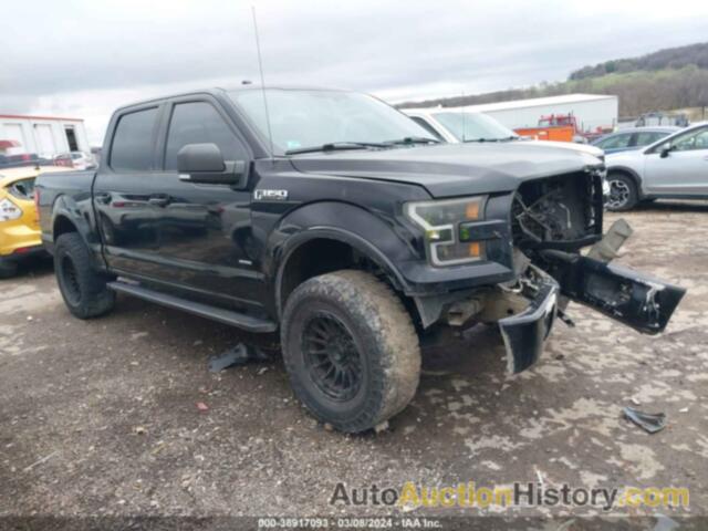 FORD F-150 XLT, 1FTEW1EP0GFD25786