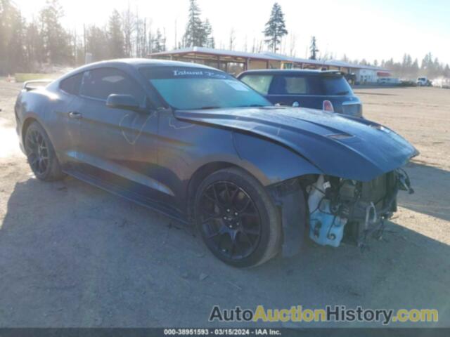 FORD MUSTANG, 1FA6P8TH7K5119343