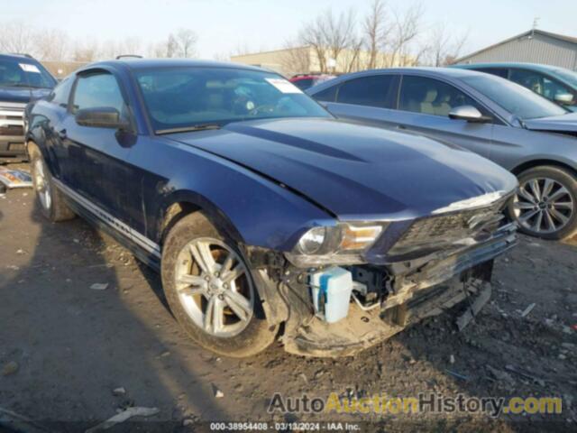 FORD MUSTANG, 1ZVBP8AM1C5244975