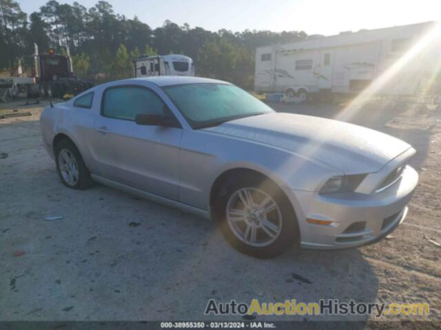 FORD MUSTANG, 1ZVBP8AM0E5258000