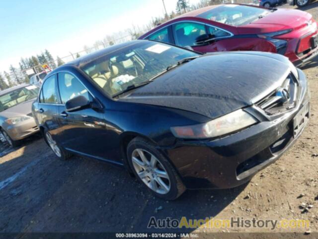 ACURA TSX, JH4CL96865C012034
