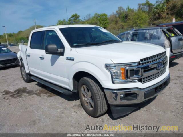 FORD F-150 XLT, 1FTEW1CP0JKF19624