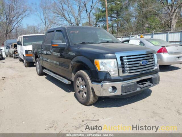 FORD F-150 XLT, 1FTEW1CM3BFB87940