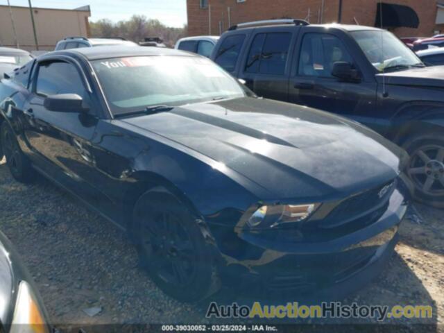 FORD MUSTANG, 1ZVBP8AM5C5268678