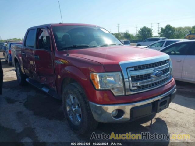 FORD F-150 XLT, 1FTEW1CM2DFD67543