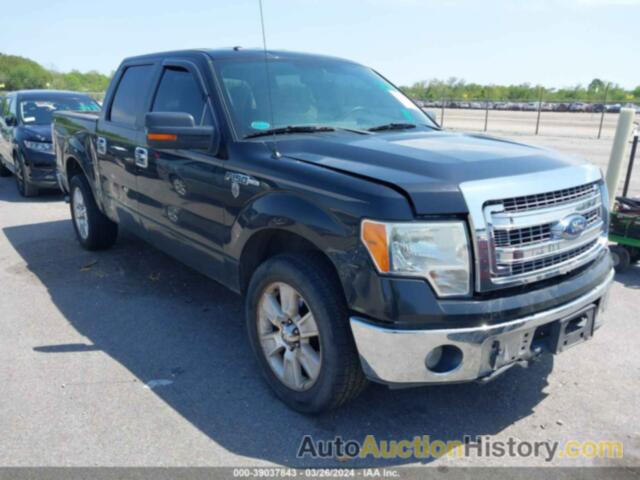 FORD F-150 XLT, 1FTEW1CM7DFC32073