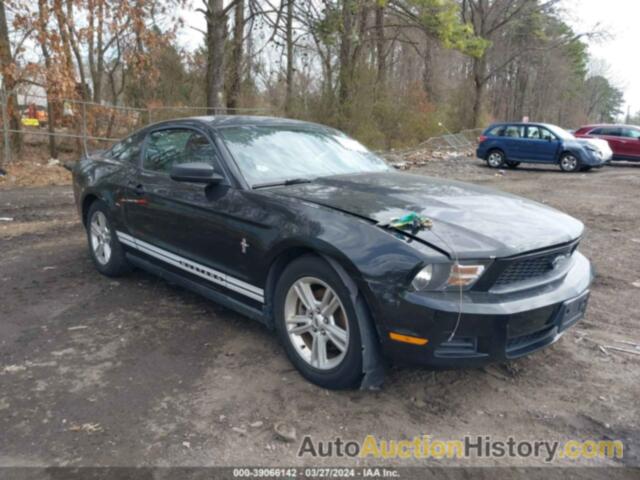 FORD MUSTANG V6, 1ZVBP8AMXC5239919