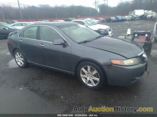 ACURA TSX, JH4CL96845C019354